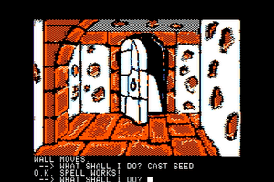 Sorcerer of Claymorgue Castle abandonware