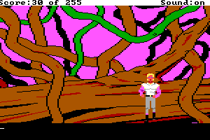 Space Quest: The Lost Chapter 9