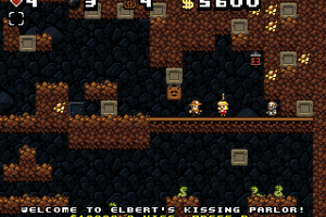 Spelunky 11