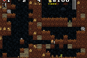 Spelunky 13