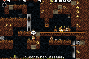 Spelunky 14