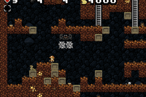 Spelunky 15