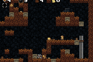 Spelunky 3