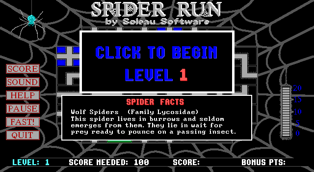 Spider Run 0