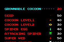 Spiders 1