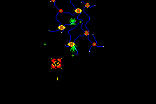 Spiders 4