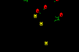 Spiders 1