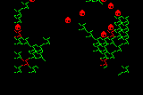 Spiders 2