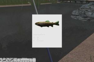 Sportangeln 2012: S&uuml;deuropa 7