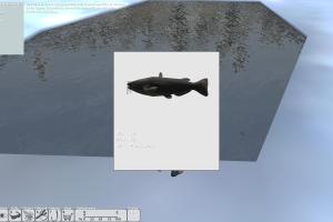 Sportangeln 2013: Osteuropa 9