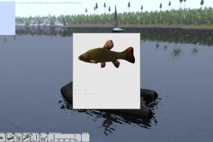 Sportangeln 2013: Osteuropa 15