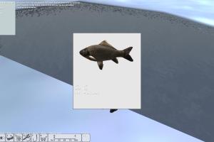 Sportangeln 2013: Osteuropa 18