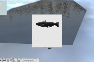 Sportangeln 2013: Osteuropa 7