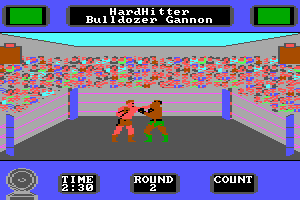 Star Rank Boxing II 9