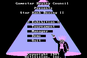 Star Rank Boxing II 14