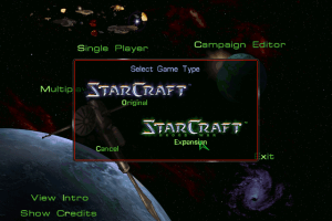 StarCraft: Brood War 1