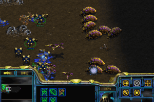 StarCraft 29