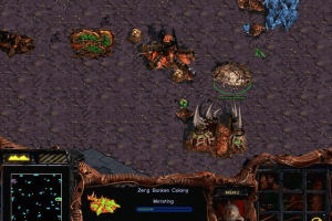 StarCraft 39