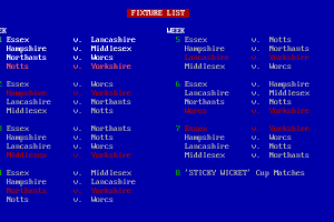 Sticky Wicket 4