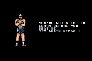 Street Fighter 13