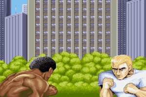 Street Fighter II (1991) - MobyGames