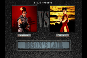 Street Fighter: The Movie 15