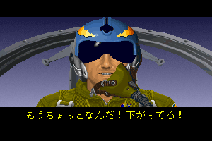 Strike Commander 2