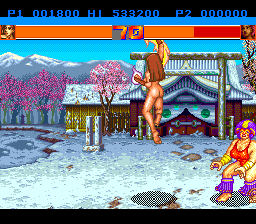 Strip Fighter II abandonware