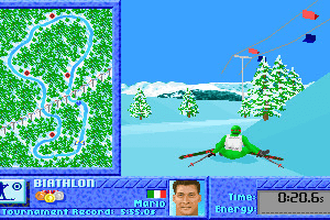 Summer & Winter: Olympic Challenge 3