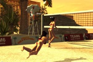 Sunshine Beach Volleyball 1