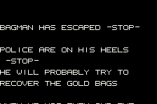 Super Bagman 1