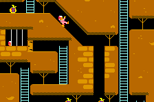 Super Bagman 4