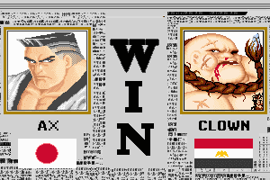 Super Fighter 13