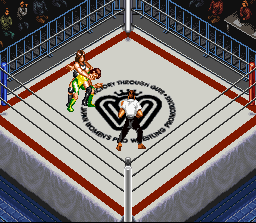 Super Fire Pro Wrestling Queen's Special abandonware
