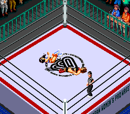 Super Fire Pro Wrestling Queen's Special abandonware