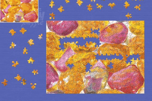 Super Jigsaw Puzzles 4