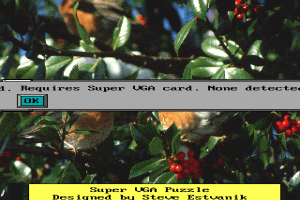 Super VGA Puzzle 1