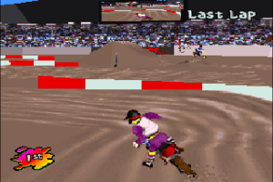 Supercross 3D 29
