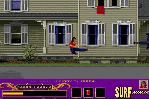 Surf Ninjas abandonware