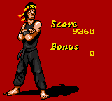 Surf Ninjas 9