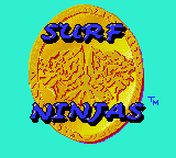 Surf Ninjas 1