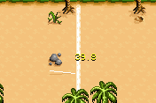 Survivor: Expedition Robinson 24