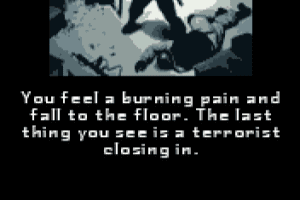 SWAT: Elite Troops 10