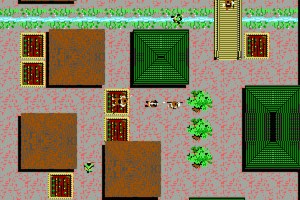 Sword of the Samurai 11