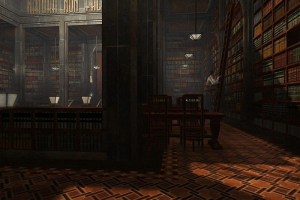 Syberia 46