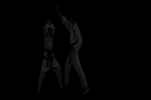 TaeKwonDo Master 2