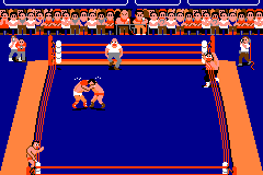 Tag Team Wrestling 5