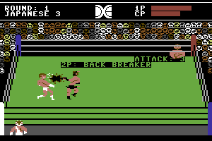 Tag Team Wrestling 2