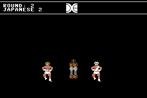 Tag Team Wrestling 3