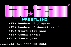 Tag Team Wrestling abandonware